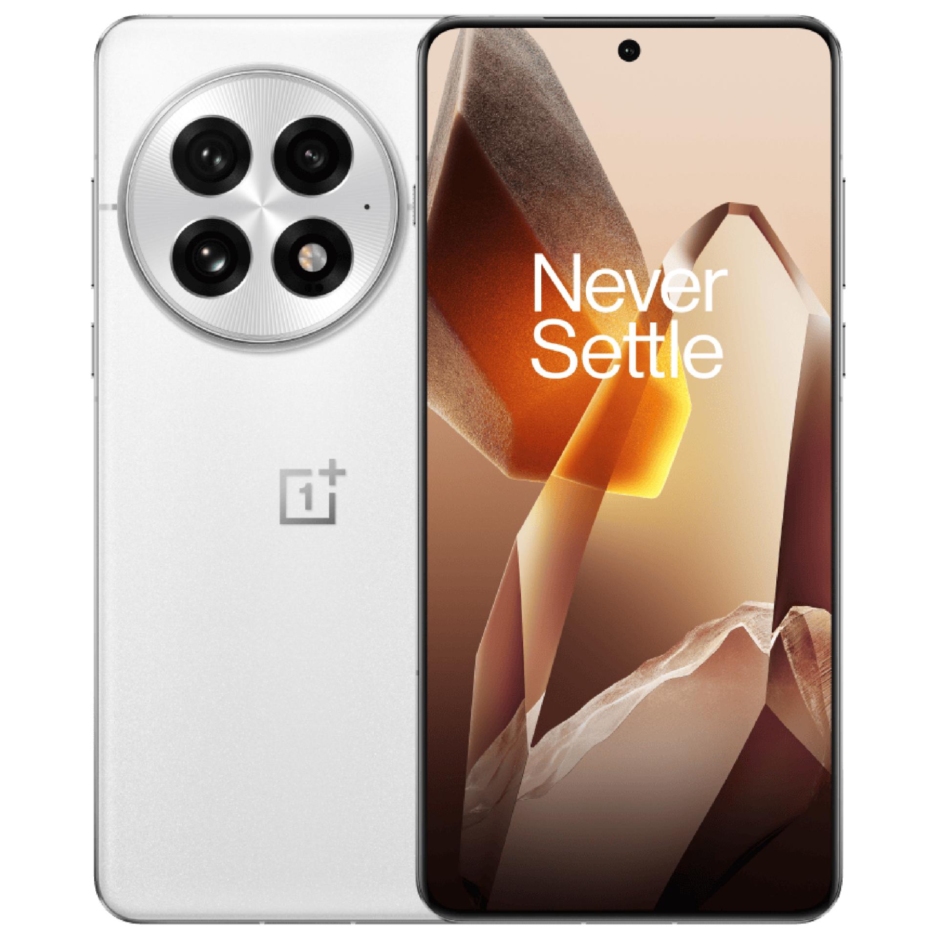 OnePlus 13